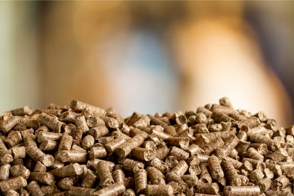 Photo of biomass pellets close up by Artisteer, courtesy Getty Images.