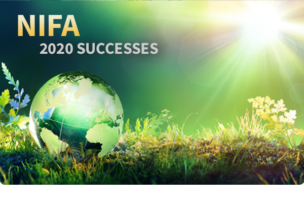 NIFA 2020 Review of Successes. Image of globe in grass, courtesy of Adobe Stock.