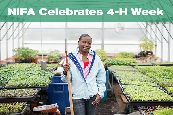 NIFA Celebrates 4-H Week