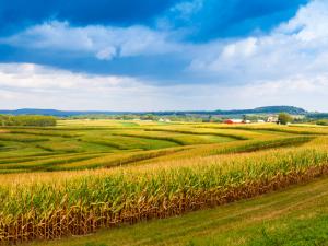 Farmland in America's heartland. Image courtesy of Getty Images.