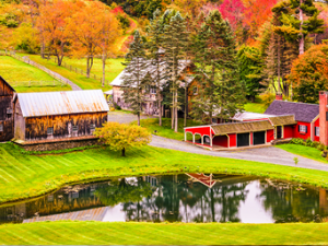 Farm Biosecurity Education Goes Virtual with Discovery Learning Series. Vermont farm image; courtesy of Getty Images. 