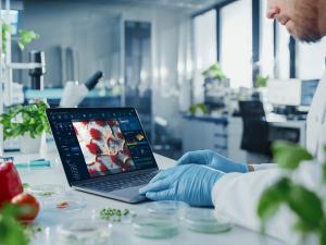 Scientist looks at food genetic sequence on laptop. Courtesy of Adobe Stock.