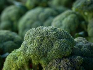 Close up photo of broccoli at a farmers market by Lance Cheung, courtesy USDA.