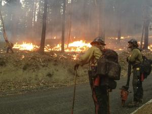 USDA photo of firefighters overseeing a forest fire by Lance Cheung.