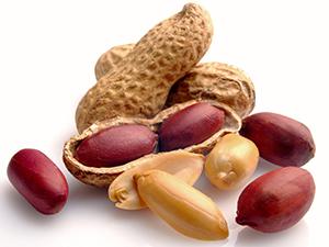 Peanut allergy is one of the most common causes of food-related anaphylaxis and affects about 2.8 million Americans, including 400,000 school-aged children.
