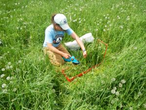 Researcher in the field. Photo courtesy of Joshua Faulkner, University of Vermont.