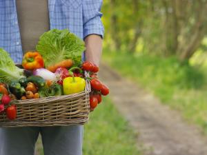 Farmer carrying basket of organic vegetables. Image courtesy of Getty Images.