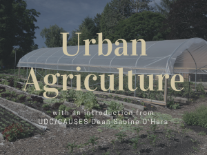 This image is a screenshot from UDC/CAUSES Six Minute Seminar. The text over the image reads "Urban Agriculture with an introduction from UDC/CAUSES Dean Sabine O'Hara"