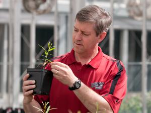 Photo of Larry Smart holding a shrub willow by Robyn Wishna, courtesy of Cornell University.